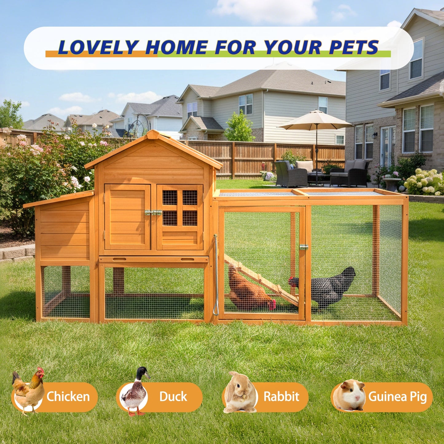 80 inch chicken coop with nest box in warm cedar wood and mesh-run; several chickens nearby on Tampa Home & Garden Store