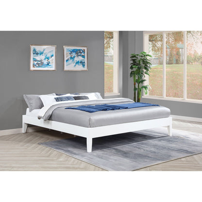 Hounslow Platform Bed by HouseOfZazla in white finish with gray bedding and blue throw on Tampa Home & Garden Store