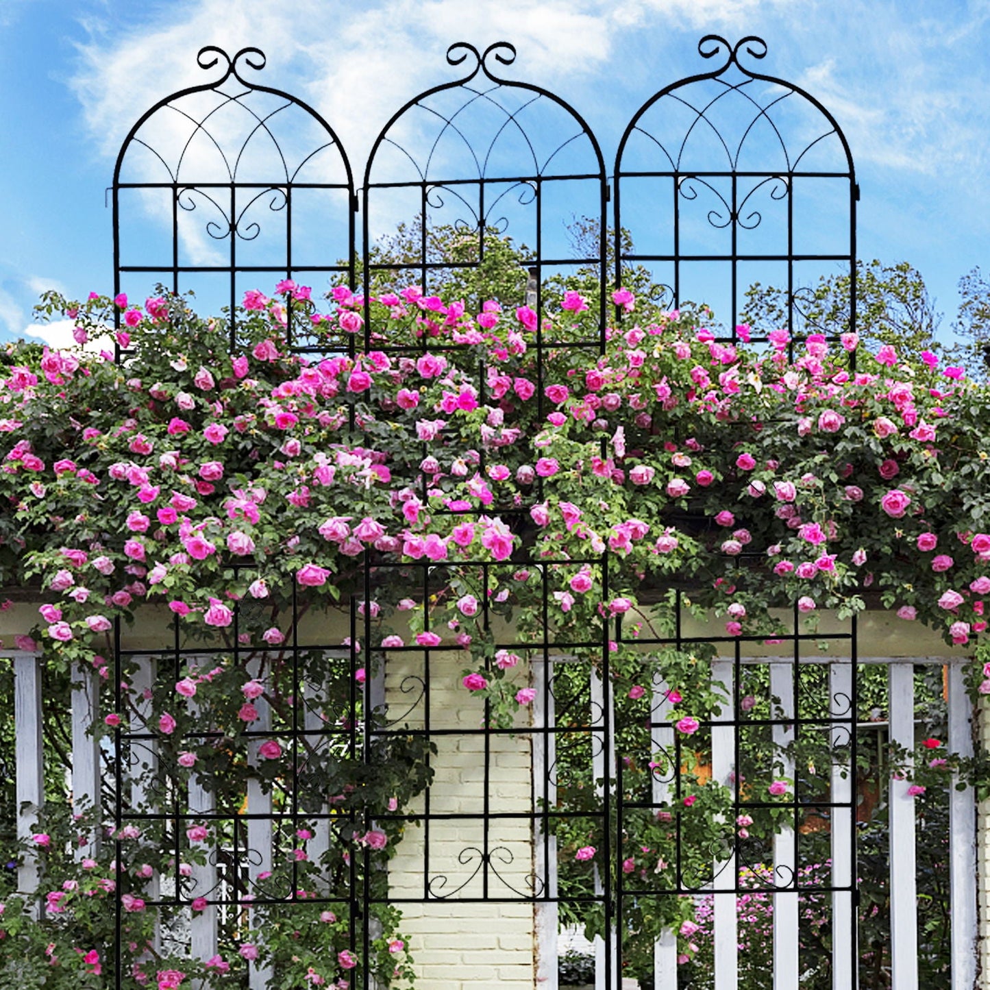 Metal Trellis For Climbing Plants And Vines