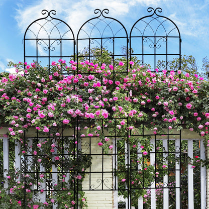 Metal Trellis For Climbing Plants And Vines