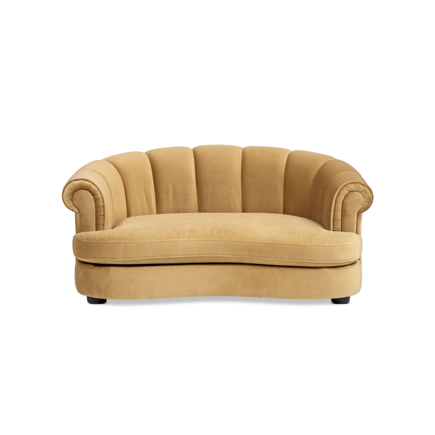 Halle 35.5-inch Rolled Arm Channel-Tufted Dog Sofa Bed in golden tan velvet by HouseOfZazla on Tampa Home & Garden Store