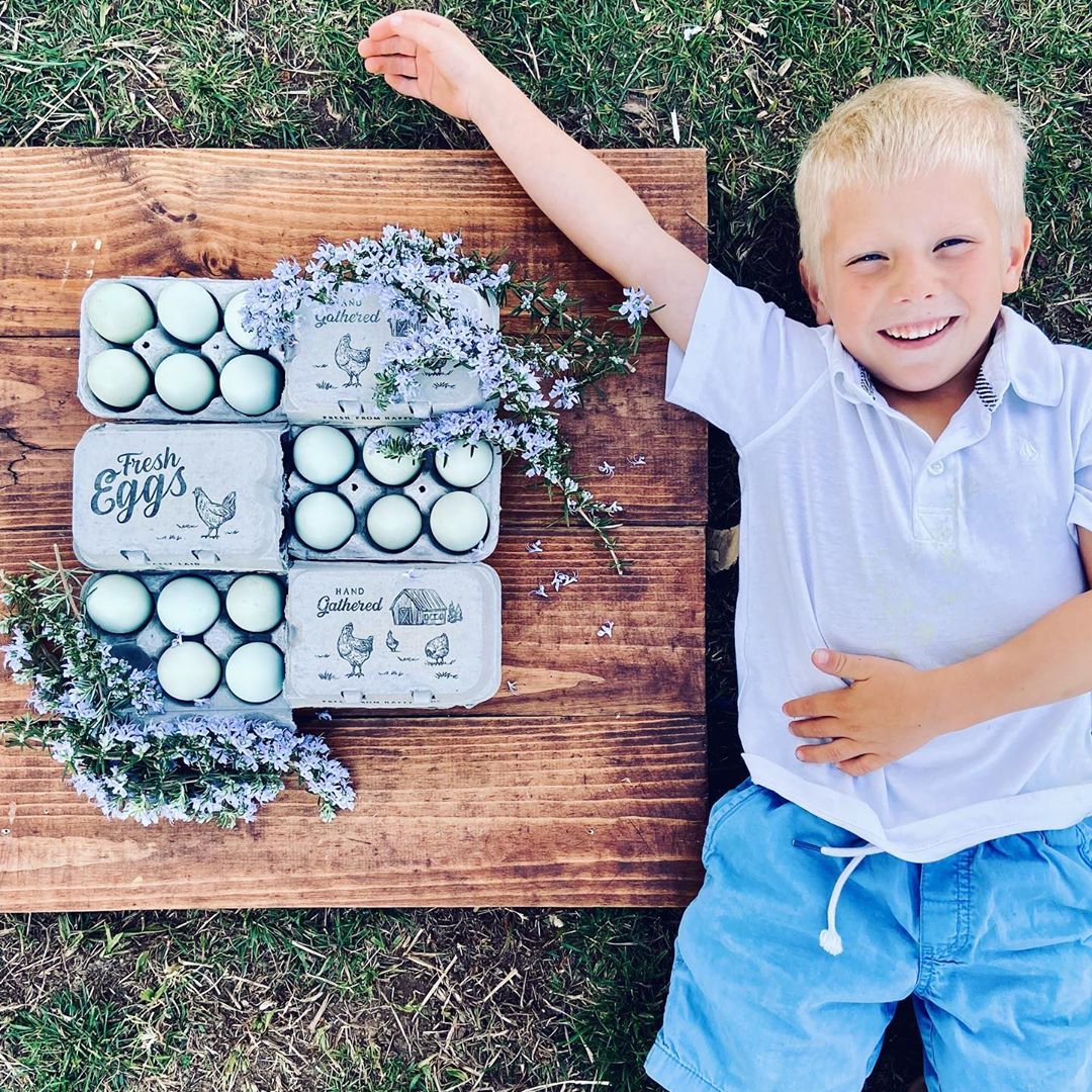 Split-Apart Egg Cartons by My Pet Chicken holds 6 or 12 eggs on a wooden table with lavender on Tampa Home & Garden Store