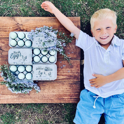 Split-Apart Egg Cartons by My Pet Chicken holds 6 or 12 eggs on a wooden table with lavender on Tampa Home & Garden Store