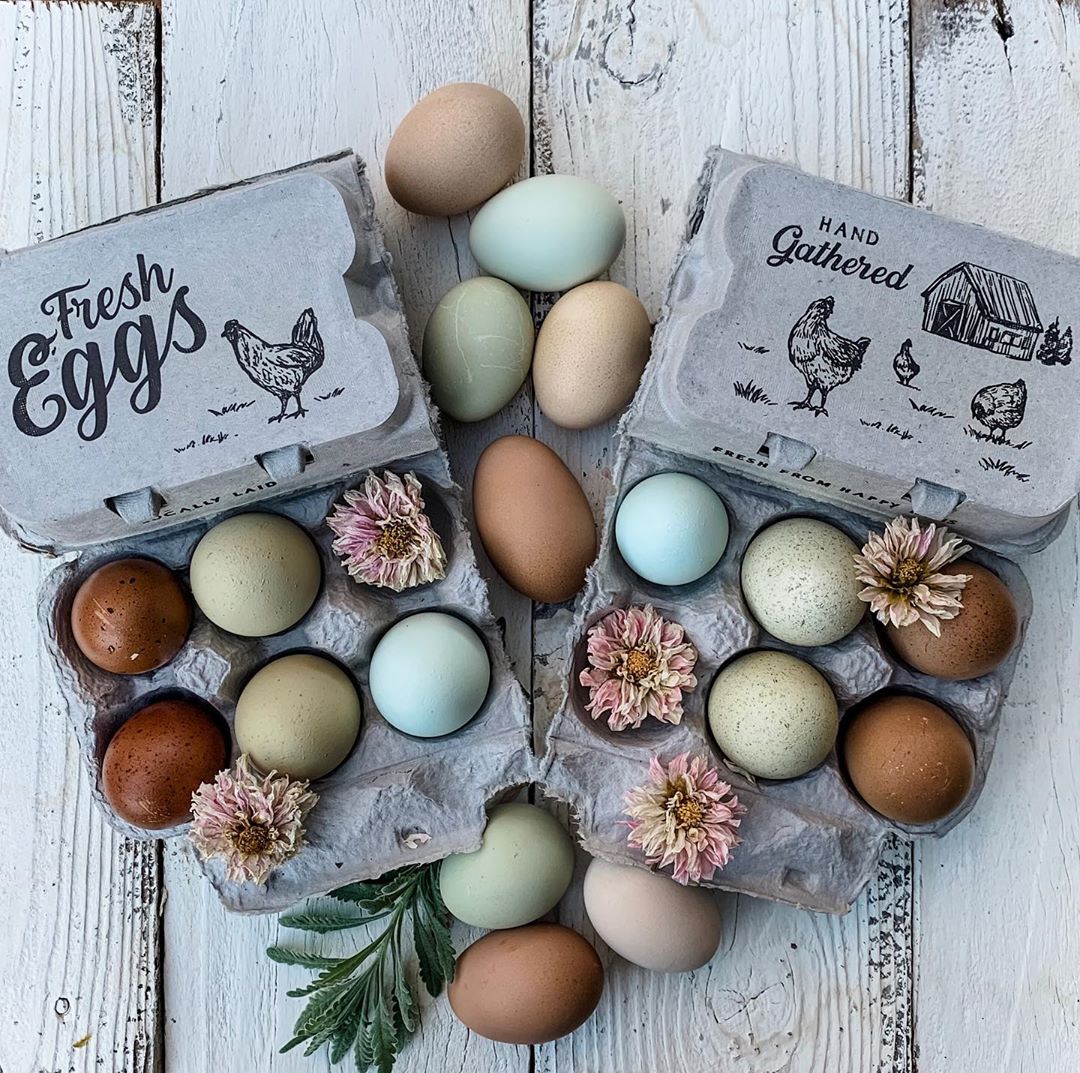 Split-Apart Egg Cartons by My Pet Chicken; two gray cartons hold 6 or 12 extra large eggs on Tampa Home & Garden Store