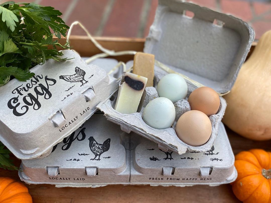 Split-Apart Egg Cartons for 6 or 12 eggs by My Pet Chicken gray carton with chicken print pastel eggs on Tampa Home & Garden Store