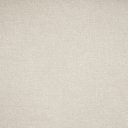 Beige carpet texture close-up backdrop for Unique Piece Furniture stationary sectionals on Tampa Home & Garden Store