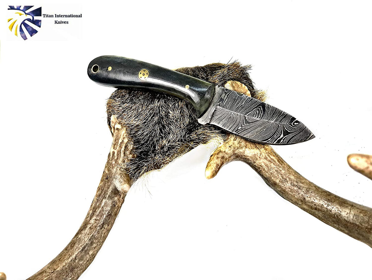 Damascus EDC Sparrow TD-603 knife with black handle and Damascus blade, shown on antler backdrop on Tampa Home & Garden Store