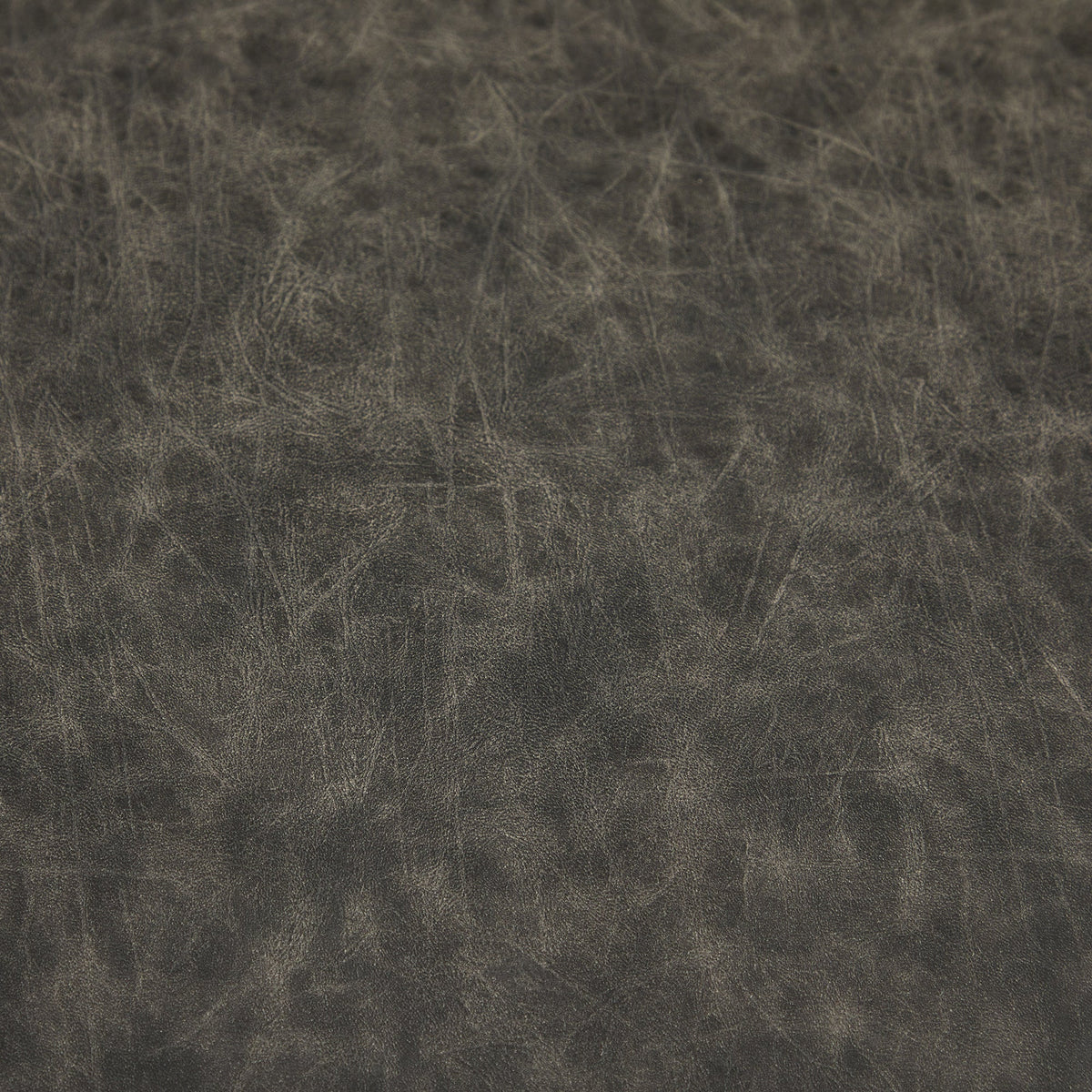 Weathered brown leather texture surface with visible creases on Tampa Home & Garden Store