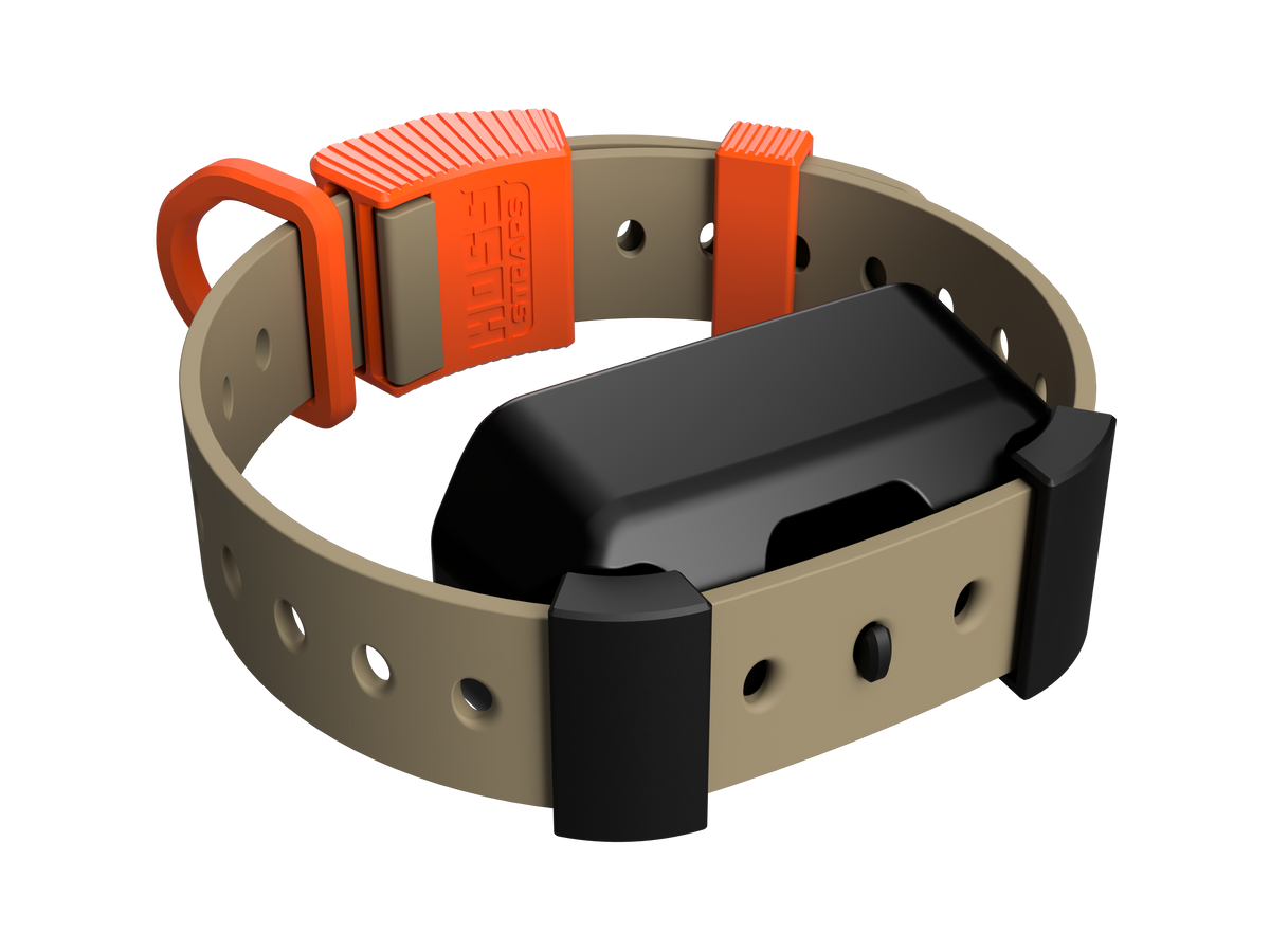 Adapter Kit by Hoss Straps with orange buckle and beige hunting dog collar on Tampa Home and Garden Store