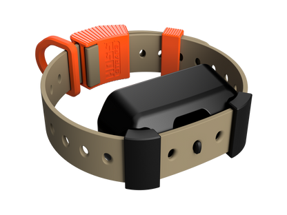 Adapter Kit by Hoss Straps with orange buckle and beige hunting dog collar on Tampa Home and Garden Store
