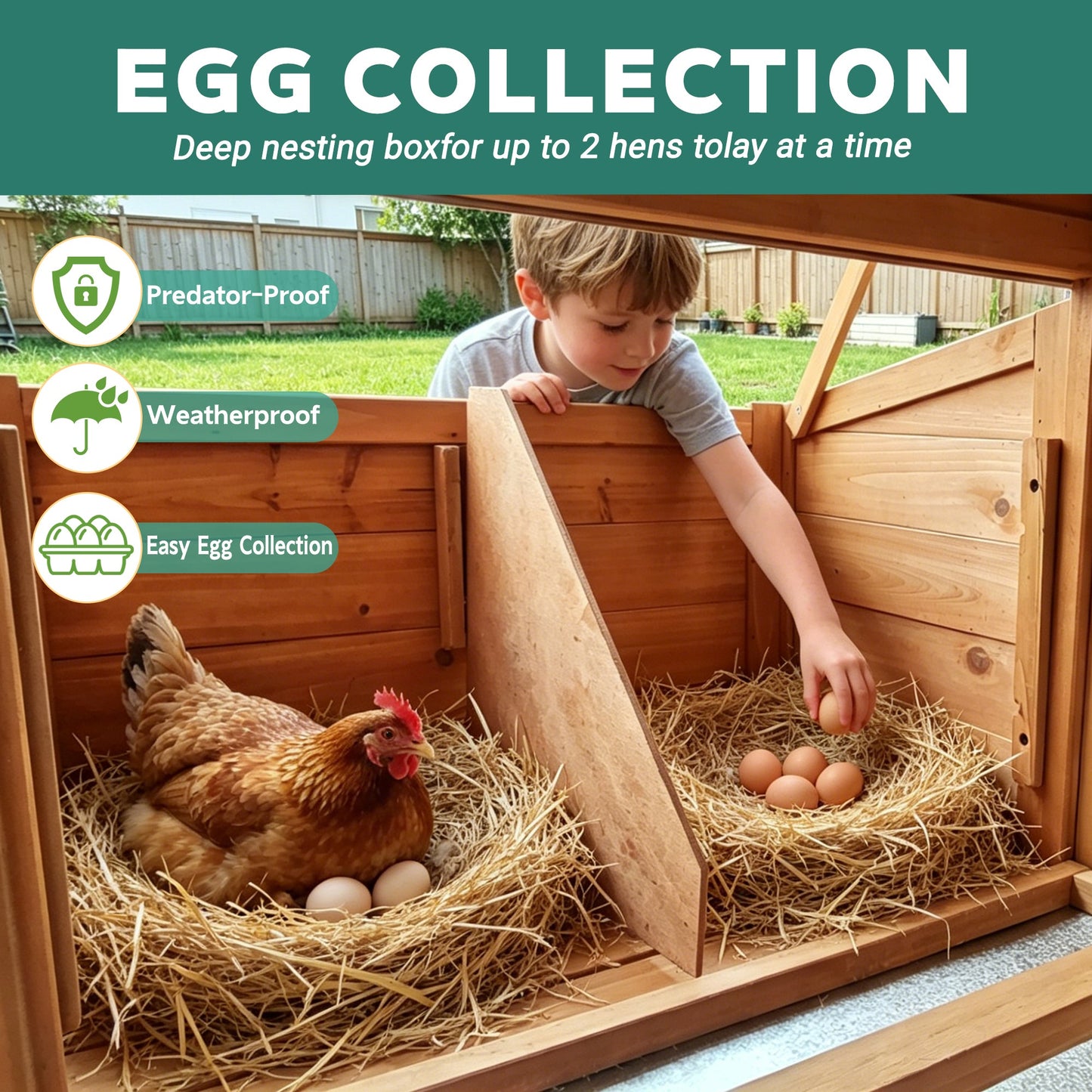 Large wooden chicken coop with nest box and run, straw bedding, brown hen and eggs on Tampa Home & Garden Store