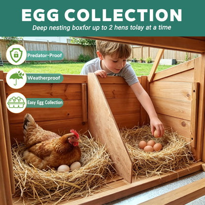 Large wooden chicken coop with nest box and run, straw bedding, brown hen and eggs on Tampa Home & Garden Store