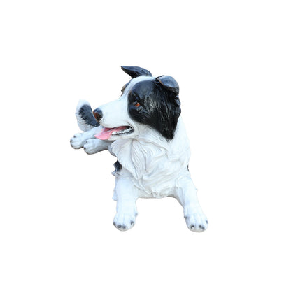 Outdoor Border Collie dog statue greeter, black and white, by HouseOfZazla on Tampa Home & Garden Store