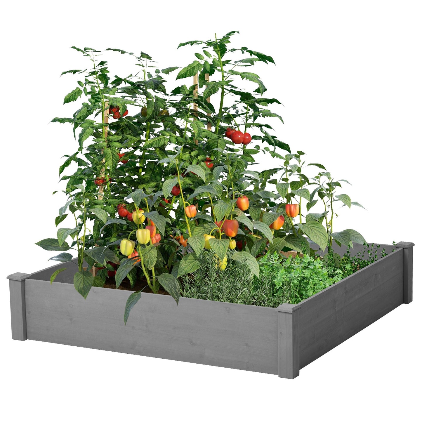 Modern Outdoor Raised Garden Bed and Stand