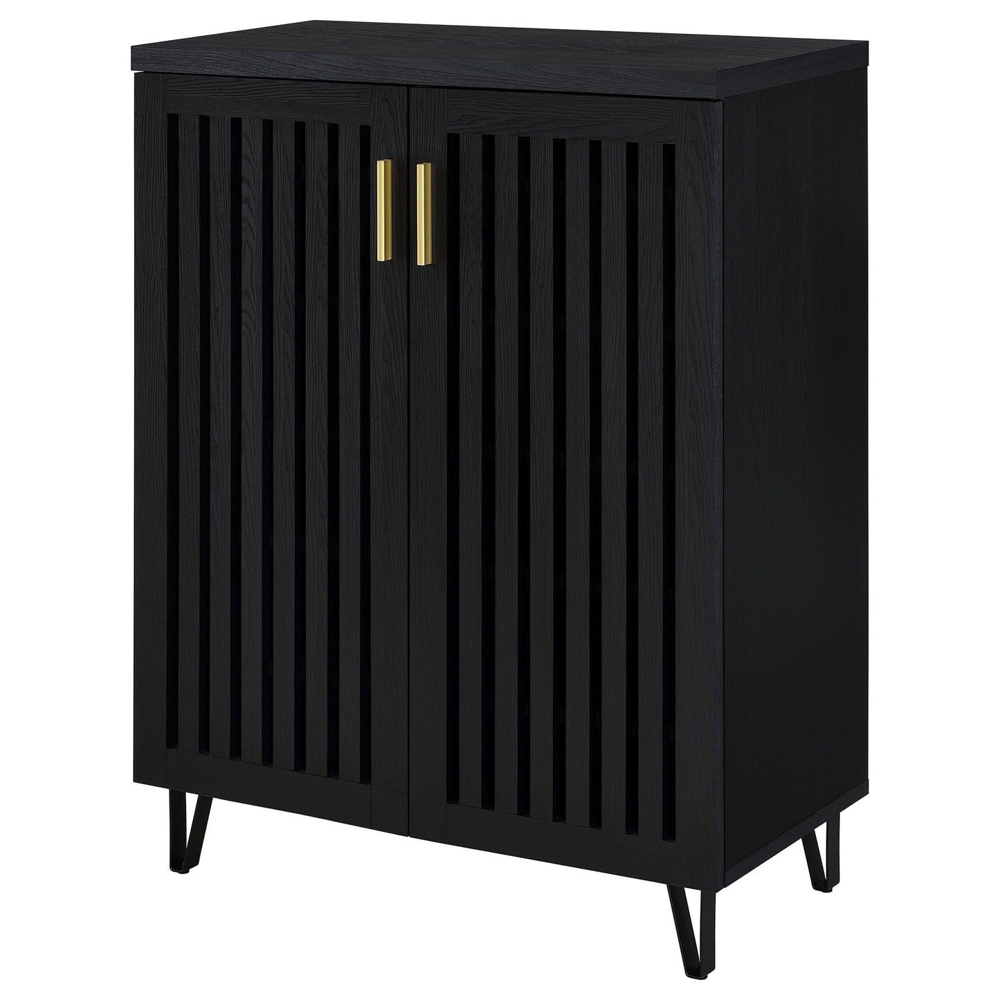 Clackamas 2-Door Storage Cabinet by HouseOfZazla, black wood with vertical slats, gold handles on Tampa Home & Garden Store
