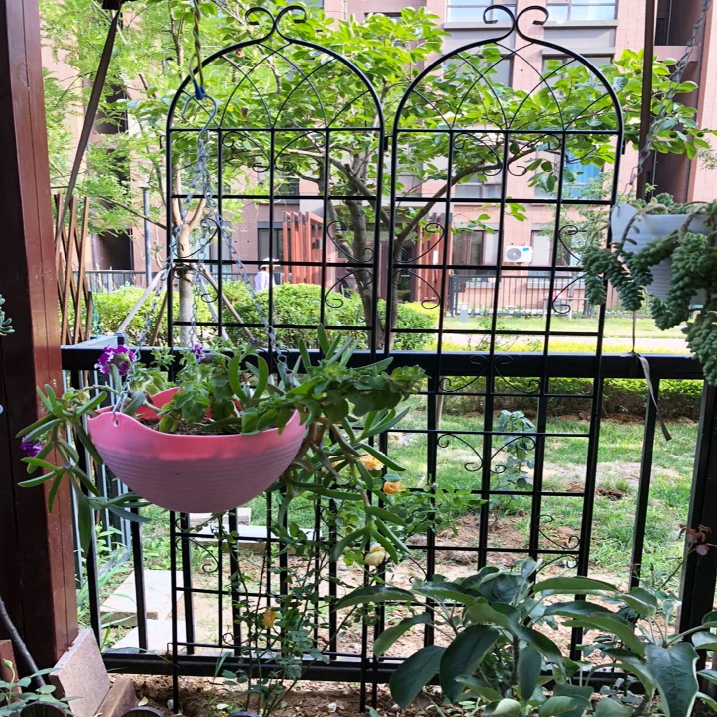 Metal Trellis For Climbing Plants And Vines