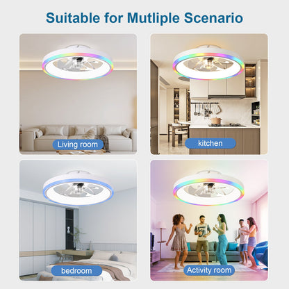 19.7 in RGB Ceiling Fan with Lights by HouseOfZazla, white LED ring, LR & kitchen shown on Tampa Home & Garden Store