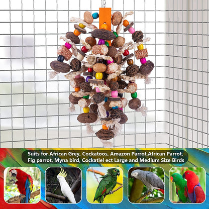 Large Parrots Nibbling On Toy Fruit Skewers, colorful bead rope bird toy by Sell My Stuff on Tampa Home & Garden Store