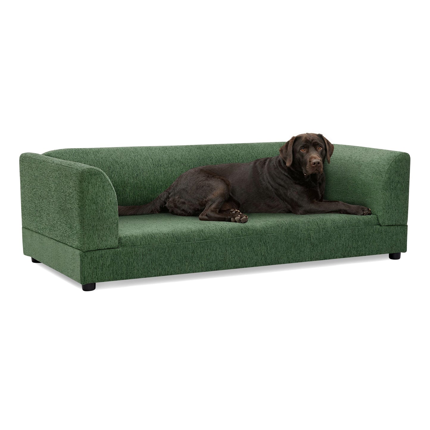 Comfortable Oversized Pet Sofa for Med-Large Dogs in green textured upholstery with a Labrador on Tampa Home & Garden Store