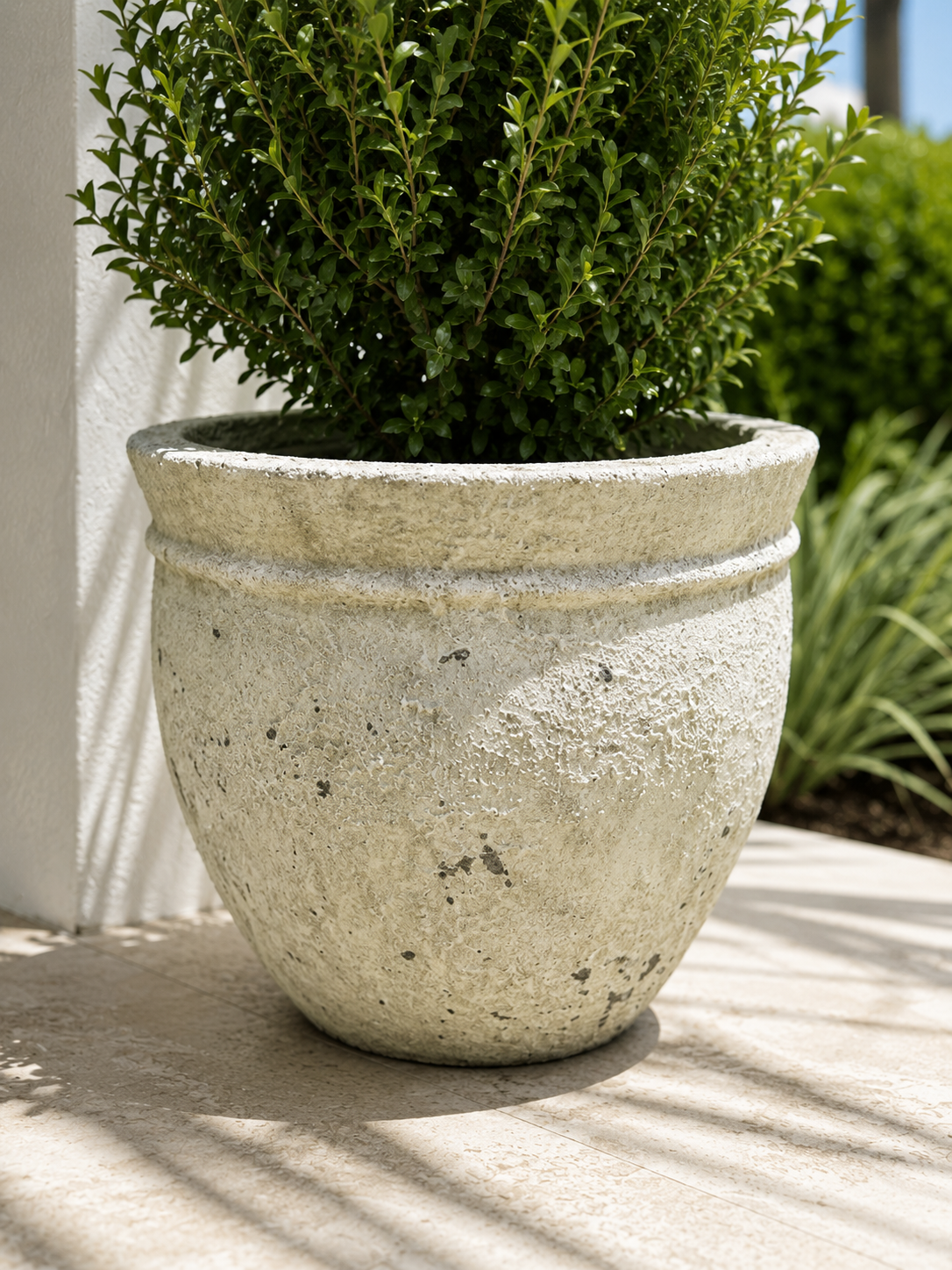 Coastal Ficonstone Planter beige textured stone with green shrub The Broward Design Center on Tampa Home & Garden Store