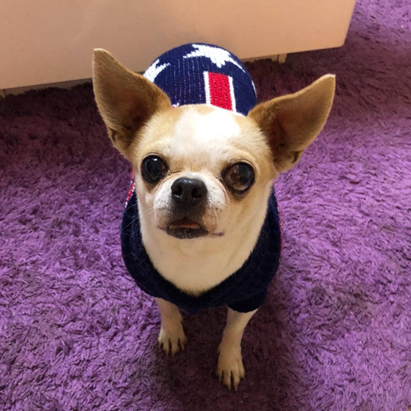 Christmas Maple Snowflake Turtleneck Knitted Sweater navy knit dog sweater Pet Zen on Tampa Home & Garden Store