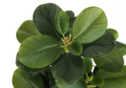 Artificial ficus plant leaves close-up, green faux greenery for indoor table decor, set of 2 on Tampa Home & Garden Store