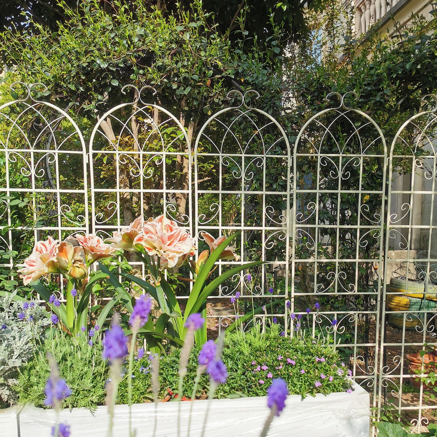 Metal Trellis For Climbing Plants And Vines
