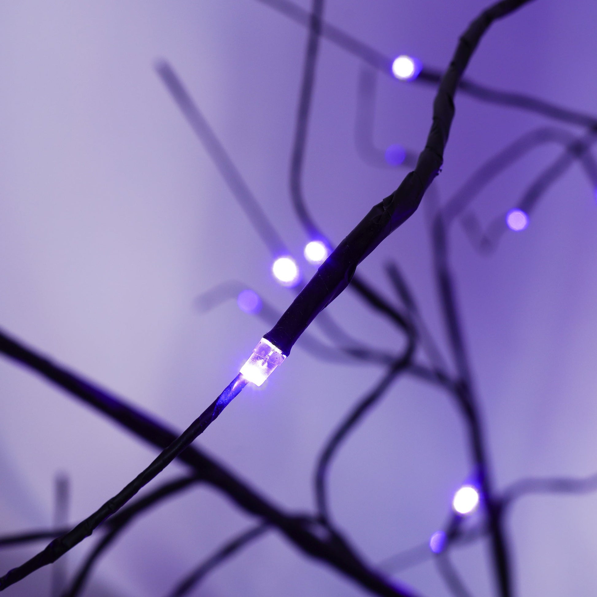 3 Pc Illuminated Halloween Tree by HouseOfZazla with purple LED string lights on Tampa Home & Garden Store