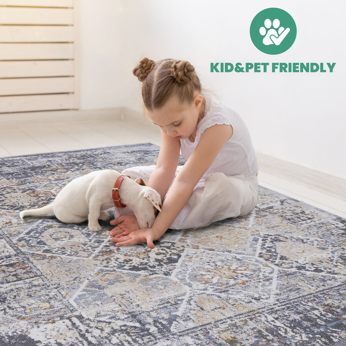 Traditional area rug with stain resistance in multiple colors; kid & pet friendly, HouseOfZazla on Tampa Home & Garden Store