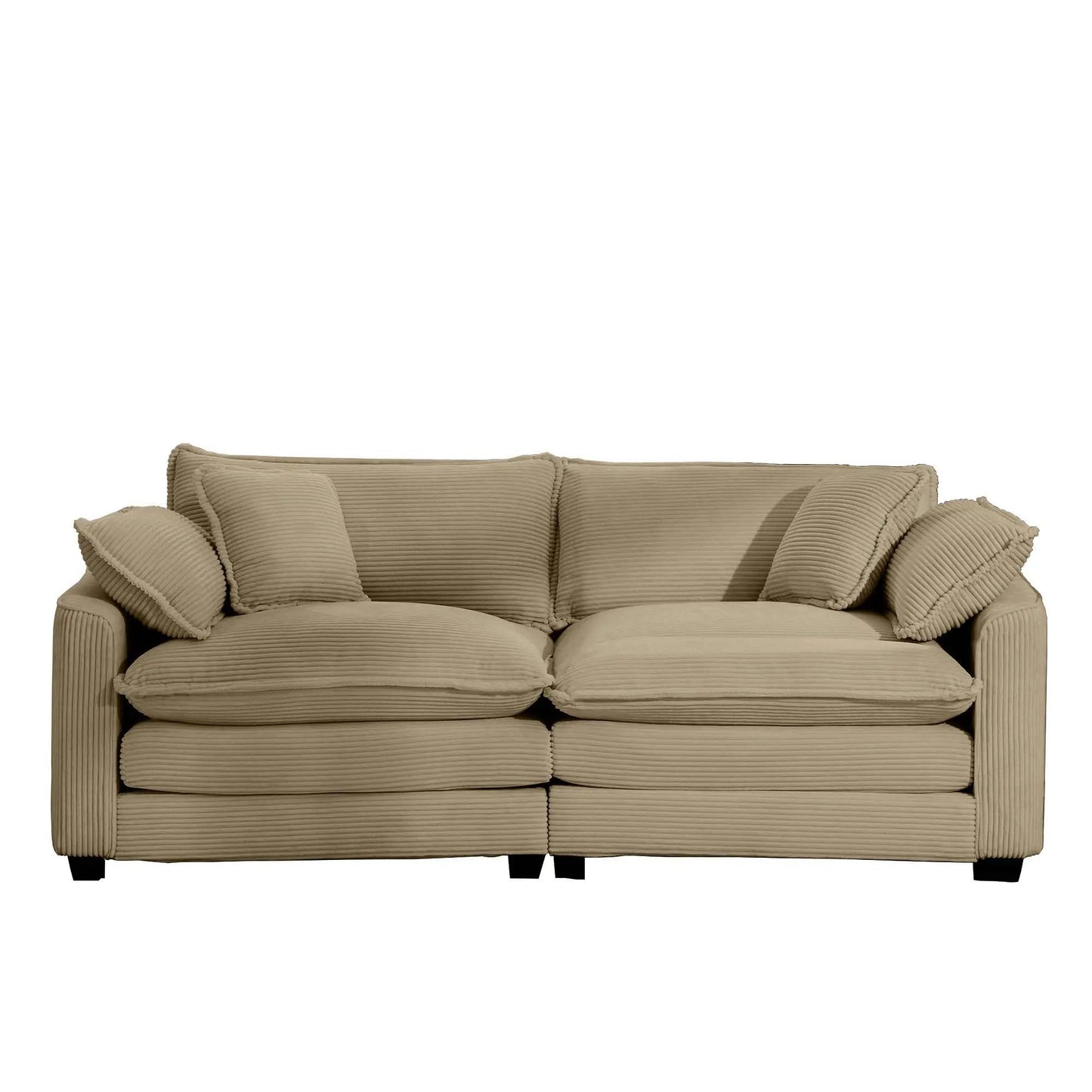 Modern 2 Seater Loveseat with 4 Pillows Elegance