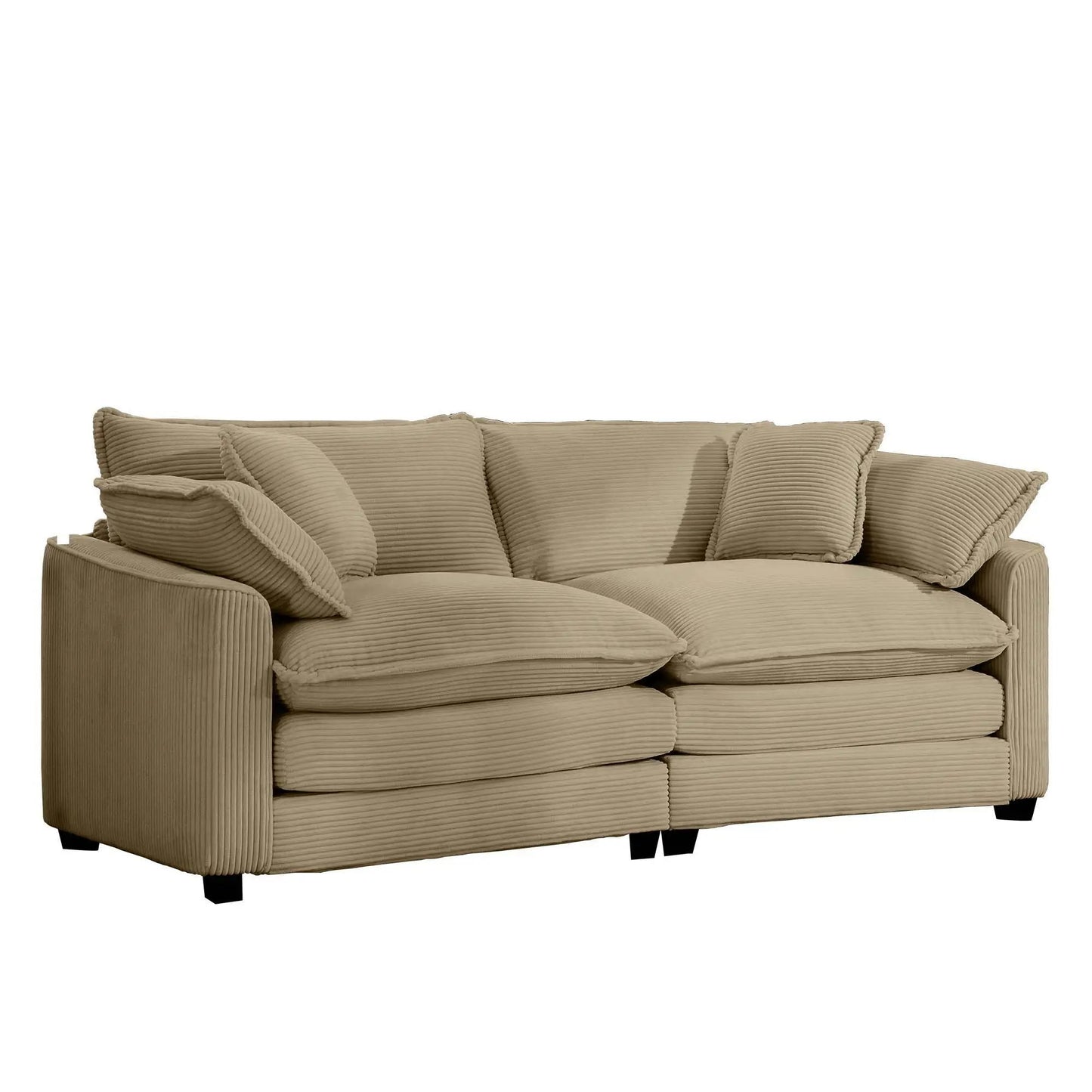 Modern 2 Seater Loveseat with 4 Pillows Elegance