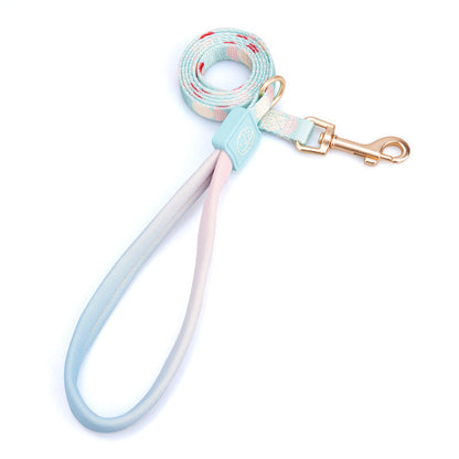 Fashion Y-shaped chest strap dog leash by Pet Zen with pastel blue and pink nylon straps and gold clasp on Tampa Home & Garden Store