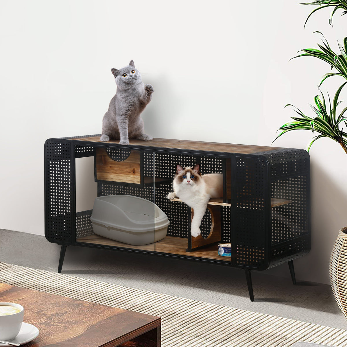 Modern Spacious Cat House Black + Brown; black metal frame wood shelves 2 cats on Tampa Home & Garden Store