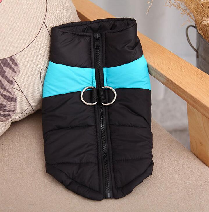 Pet Zen dog winter coat in black quilt with teal chest stripe, front zipper and dual rings on Tampa Home & Garden Store