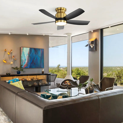 Flush mount ceiling fan with LED light 22W, remote, brass body, black blades in living room on Tampa Home & Garden Store