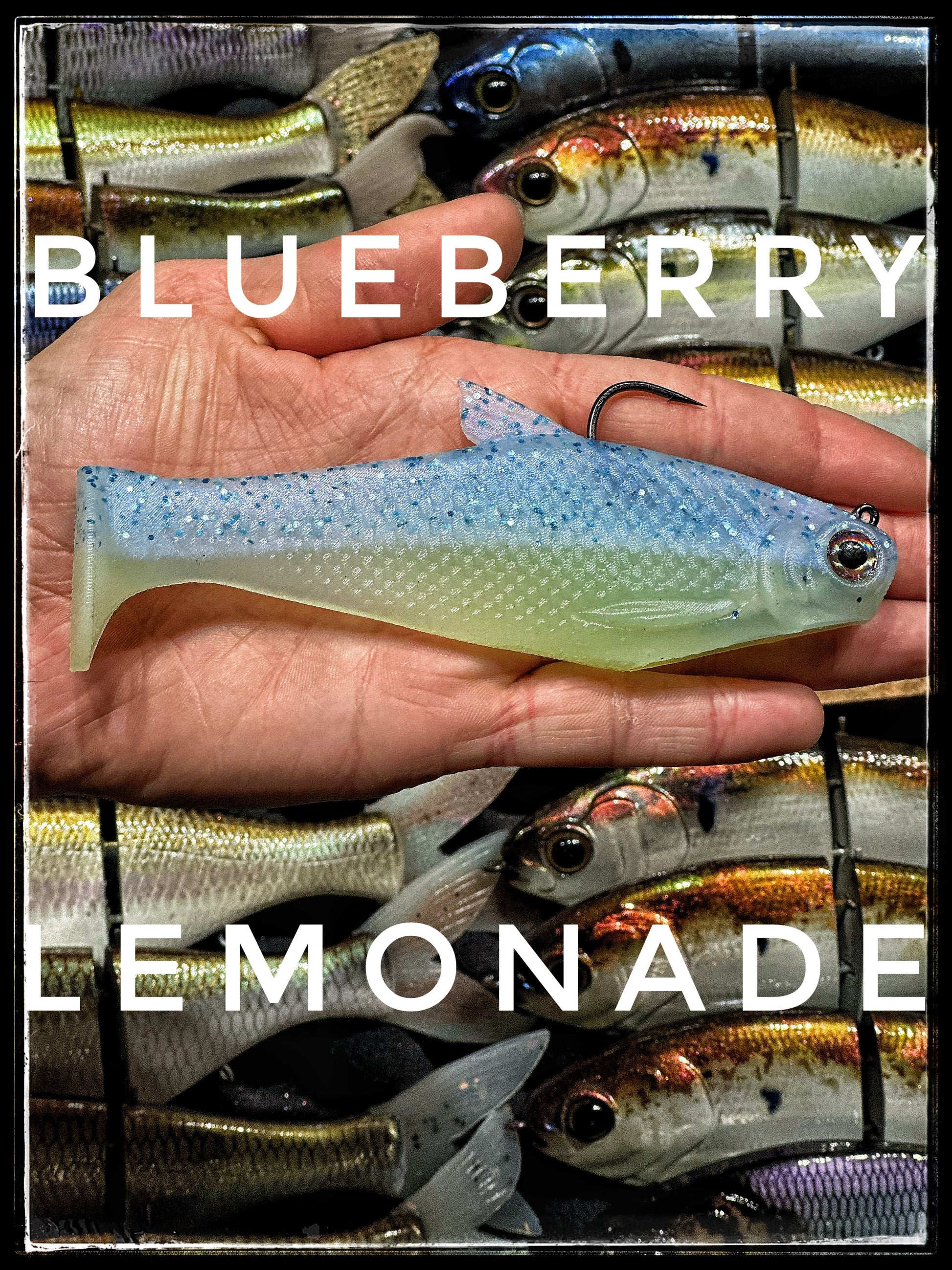 Bacca Burrito boot-tail soft swimbait in blueberry blue held in hand on display on Tampa Home & Garden Store
