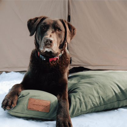 Dog Beds & Dog Bed Covers