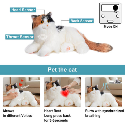 Respiration Calico Percy 2.0- Ronronnement cardiaque, voix Robonic Cat