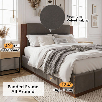 Modern upholstered platform bed by HouseOfZazla with a 49in tall velvet headboard in gray on Tampa Home & Garden Store