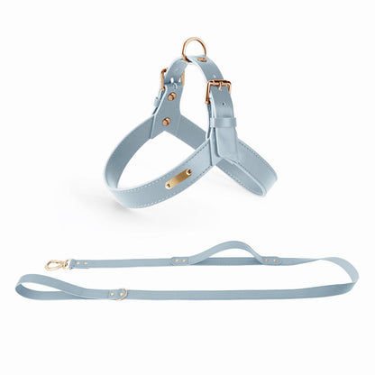 Pet Zen Summer dog and cat vest chest harness with leash set, light blue, gold hardware on Tampa Home & Garden Store