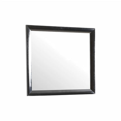 Marilla Mirror with Modern Finishes for Home