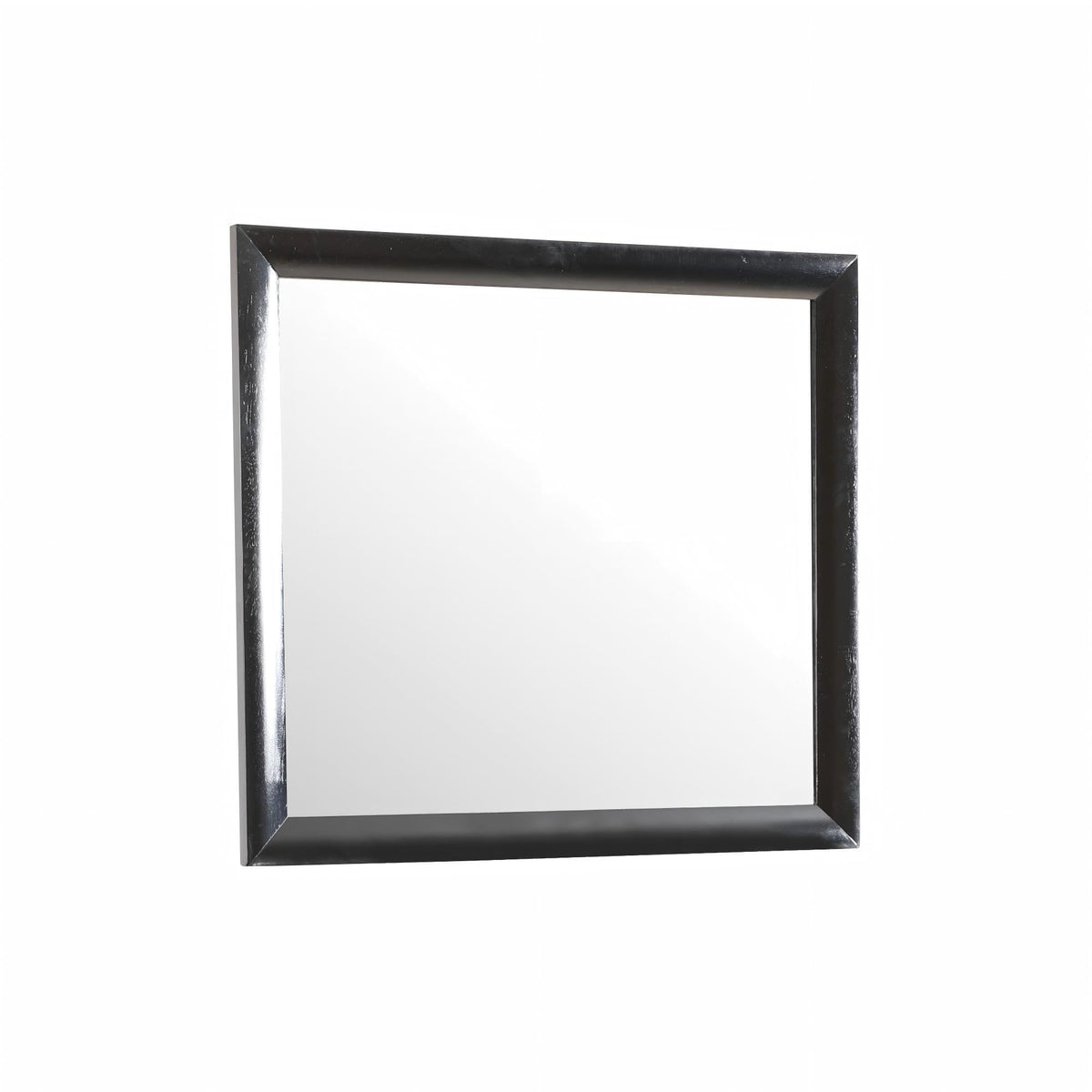 Marilla Mirror with Low Distortion Glass, black frame wall mirror HouseOfZazla on Tampa Home & Garden Store