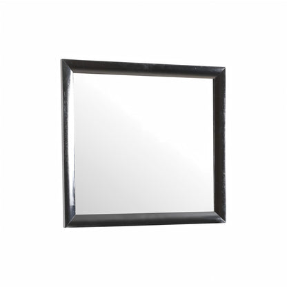 Marilla Mirror with Low Distortion Glass, black frame wall mirror HouseOfZazla on Tampa Home & Garden Store
