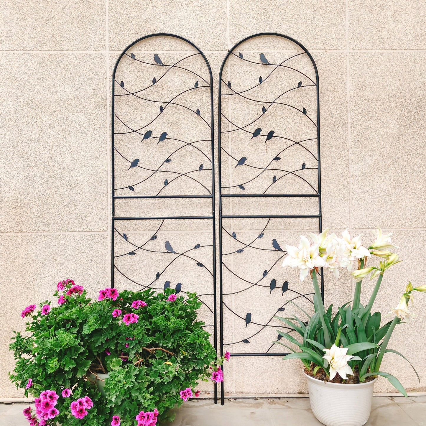 Two Rustproof Metal Garden Trellis and Supports