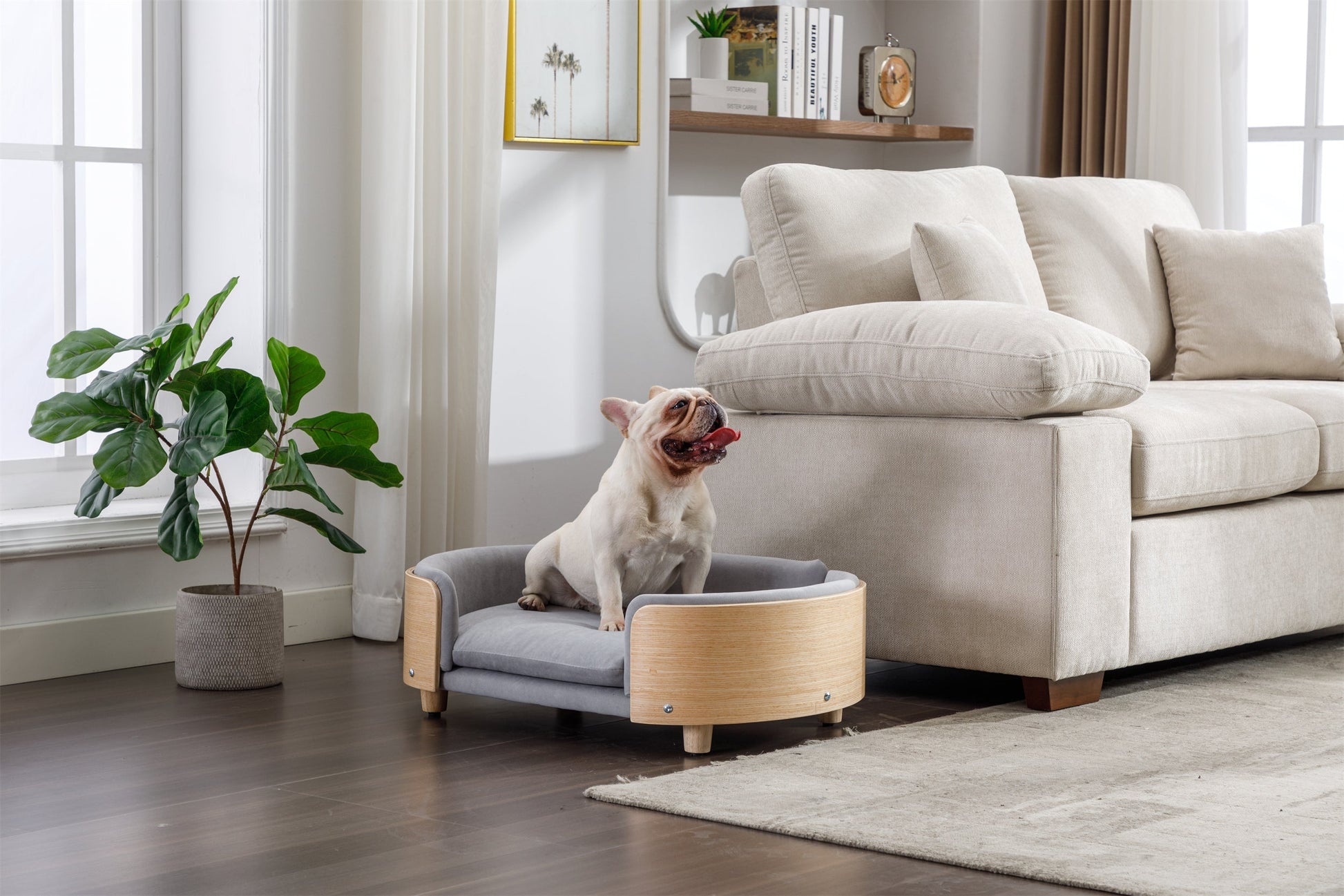 Scandinavian style elevated dog bed by HouseOfZazla, light grey velvet cushion, mid size on Tampa Home & Garden Store