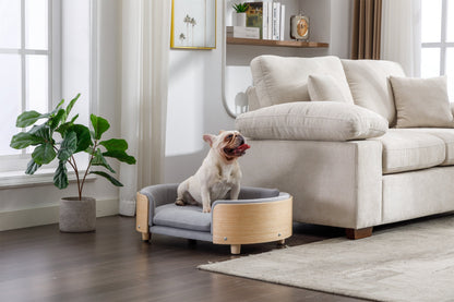 Scandinavian style elevated dog bed by HouseOfZazla, light grey velvet cushion, mid size on Tampa Home & Garden Store