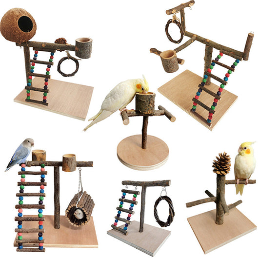Solid wood parrot station frame with bead ladder, rope toy, and coconut hideout by Sell My Stuff on Tampa Home & Garden Store