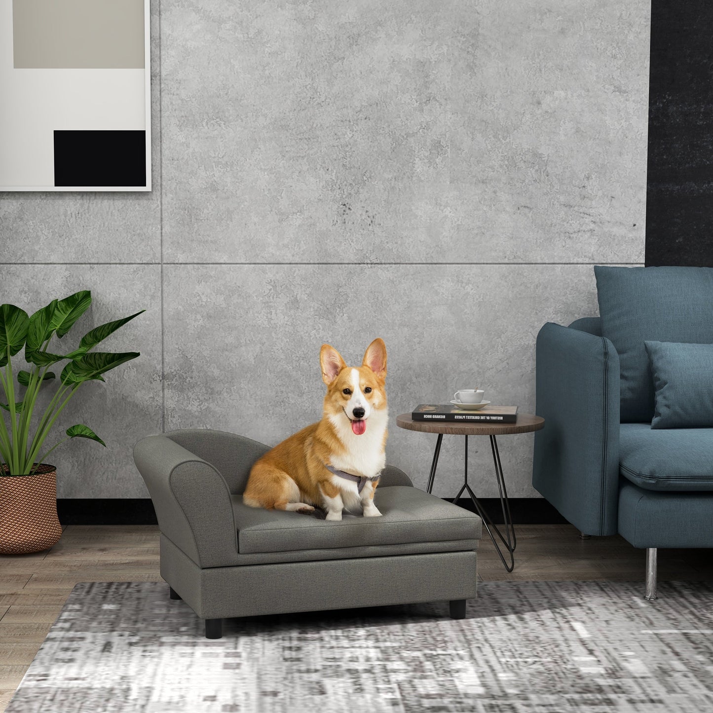 PawHut Pet Sofa Dog Couch Gray pet bed in modern living room with corgi HouseOfZazla on Tampa Home & Garden Store
