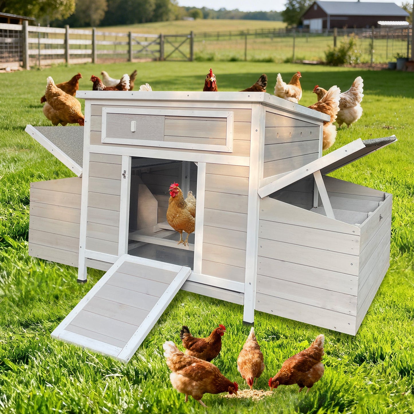 Large Wooden Outdoor Hen House and Nesting Box