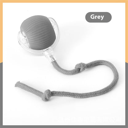 Electric cat toy rolling ball with clear plastic housing and grey braided cord on Tampa Home & Garden Store